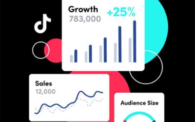 Unlocking the Power of TikTok Ads: A Comprehensive Guide to Tracking Leads